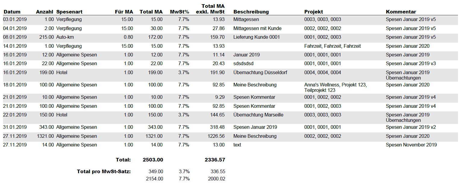 04_Auswertung_Spesen_Mitarbeiter_v1